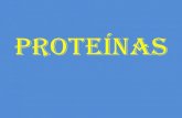 Proteinas 2nico (1)