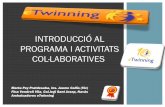 eTwinning: Introducció - Activitats col·laboratives