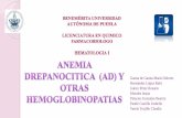 Expo 6 anemia drepanocitica-o-de-cã lulas-falciformes