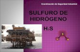 88235981 caracteristicas-del-sulfuro-de-hidrogeno18