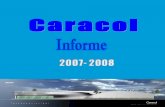Caracol Ensenada - Informe 2007-8