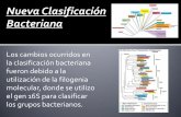Clasificaci³n bacteriana