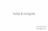 Introducción mongodb y desarrollo