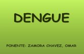 06. dengue