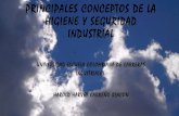 Principales conceptos de_la_higiene_y_seguridad_industrial