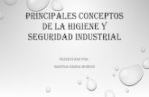 Principales conceptos de la higiene y seguridad industrial