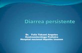 Diarrea Persistente .Consuelo Oct 08[1][1]