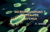 Bacterias y-virus-iv-medio-autoguardado