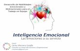 Inteligencia Emocional. El Uso inteligente de las emociones