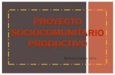 Proyecto sociocomunitario productivo
