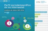 Perfil Sociodemografico de los Internautas Españoles datos INE 2014