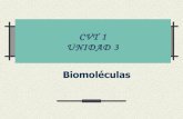 4.2 biomoleculas.ppt