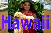Aloha hawaii