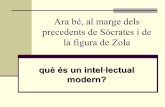 Bourdieu9 intellectual modern
