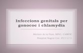 Infecciones genitales por Gonococo y Chlamydia