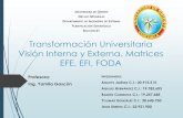 Transformación Universitaria, visión interna y externa. Matrices EFE, EFI y FODA