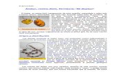 N 20141024 ambar- resina fosil territorio el soplao