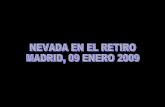 Nevada en el Retiro de enero de 2009