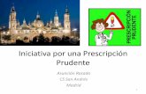Principios de Prescripción Prudente. Zaragoza