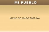 Mi Pueblo Guarroman Irene De Haro Molina