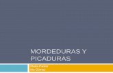 (2015-03-07) MORDEDURAS Y PICADURAS (PPT)