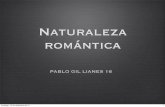 Naturalesa romàntica (Castellà)