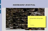 Modelo herbario digital