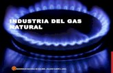 Industria del gas natural