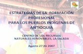 Estrategias  De La Formacion Profesional Para Pueblos Indigenas