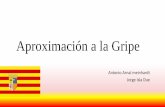 (2014-02-13 )APROXIMACION A LA GRIPE (PPT)