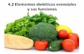 Elementos dieteticos escenciales y sus funciones.