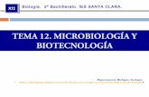 Tema12 microbiología