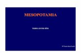 Sociedades Fluviales: Mesopotamia