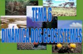 Dinamica dos ecosistemas  bio 4eso tema 6