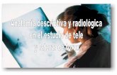 4.2  anatomia descriptiva y  radiológica en tele y lateral de  tórax