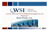 Perfil de Web Profit Y WSI