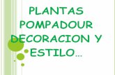 Presentacion plantas pompadoures