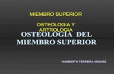 Osteologia yartrologia del miembro superior 2007 01