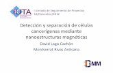Detección y separación de células cancerígenas mediante nanoestructuras magnéticas