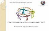 COMO CREAR UNA ONG-02- GESTIÓN DE CONSTITUCIÓN