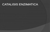 Tipos de catálisis enzimáticas