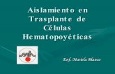 aislamiento en trasplante de celulas hematopoyeticas