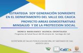 Estrategia Soy Generación Sonriente en el departamento del Valle del Cauca. Proyecto áreas demostrativas MSPS.