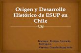 Analisis sobre el origen y desarrollo histórico ESUP en Chile