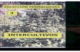 Colección permacultura 03 intercultivos (asociaciones)