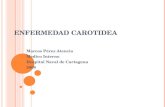 Enfermedad Carotidea