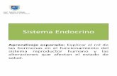 2 mb sistema endocrino
