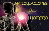Articulaciones del Hombro [Anatomía]