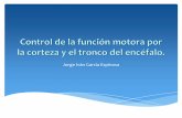 Control de la función motora por la corteza (1)