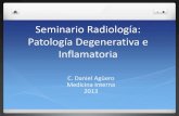 Patologia degenerativa e inflamatoria
